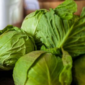 Cabbage