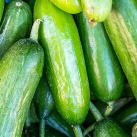 Cucumbers