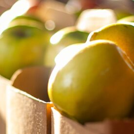 Granny Smith