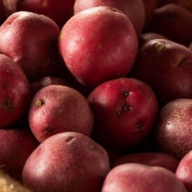 Red Potatoes