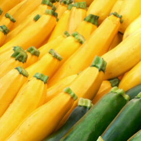 Squash