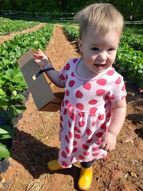 StrawberryPicking