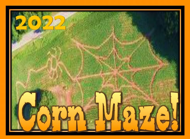 Black's Peaches Corn Maze 2022