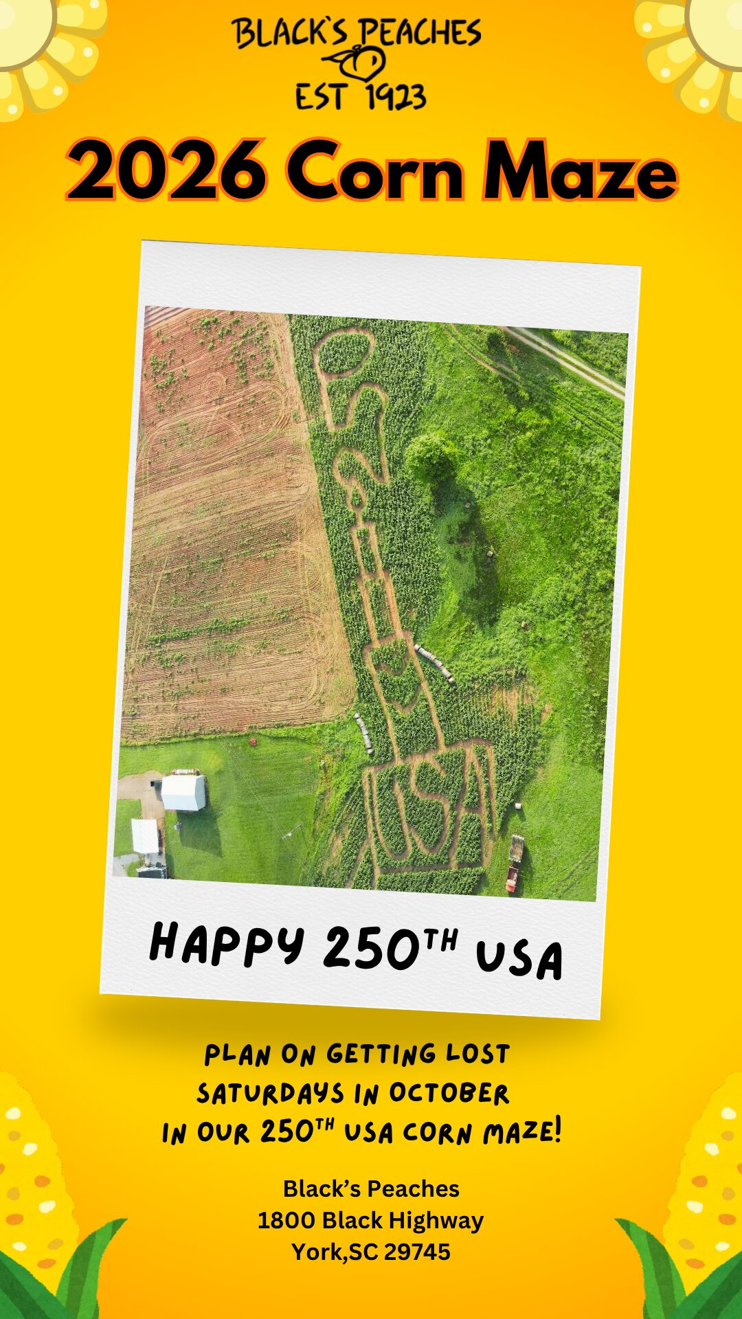 Yellow & White Minimalist Corn Ribs Promotion Instagram Story Black's Peaches Corn Maze 2026